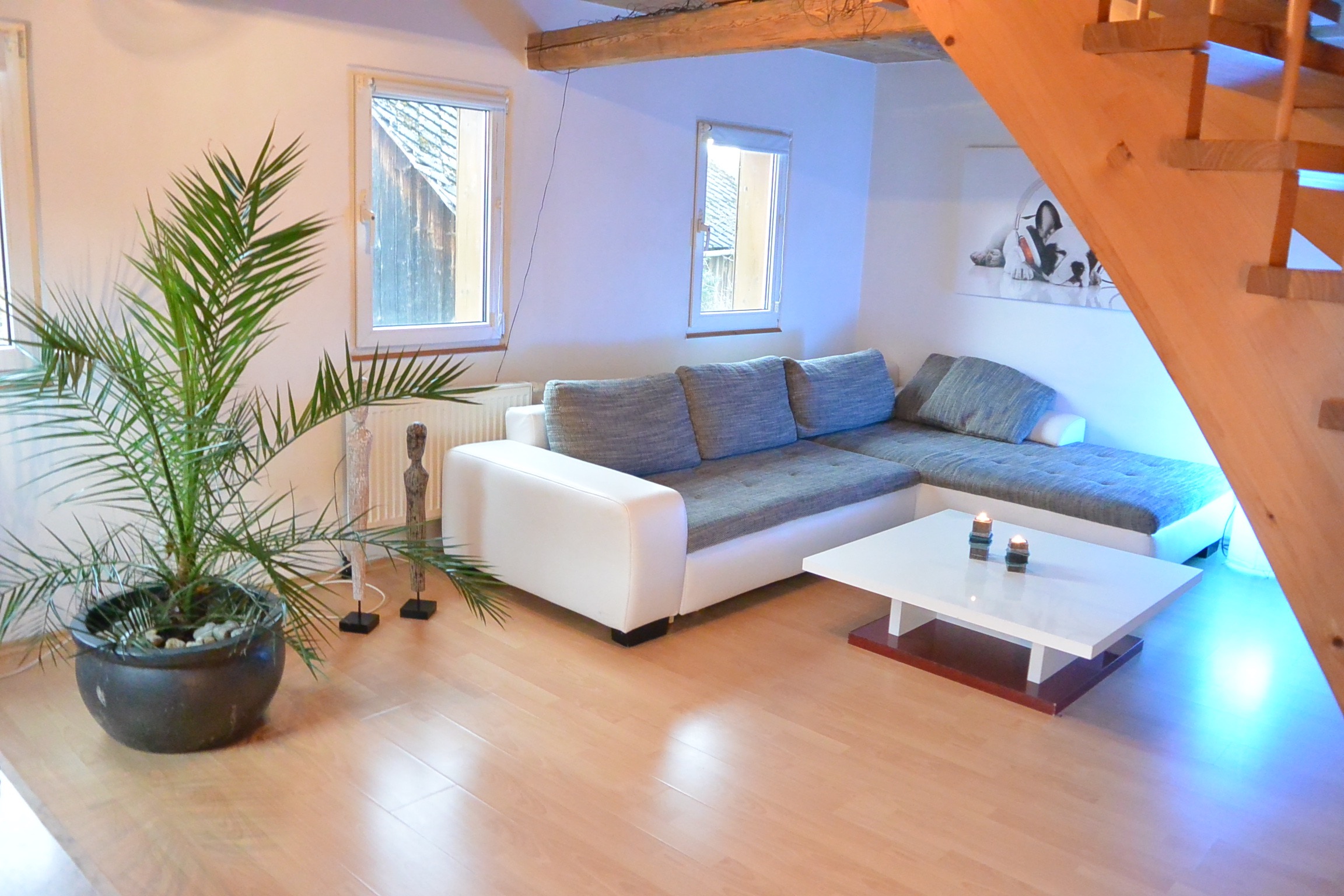 Gallerie Zi. Sofa Fensterfront 